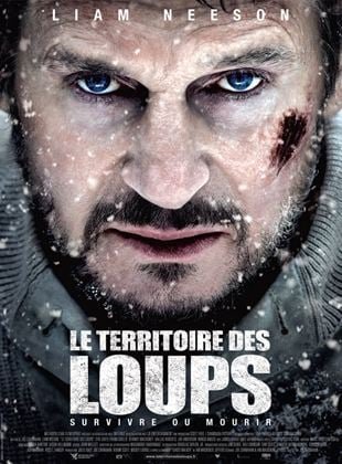 8-IPTV-France.jpg